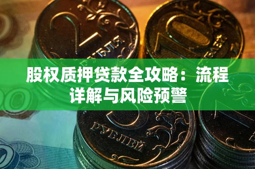 武汉股权质押贷款全攻略：流程详解与风险预警