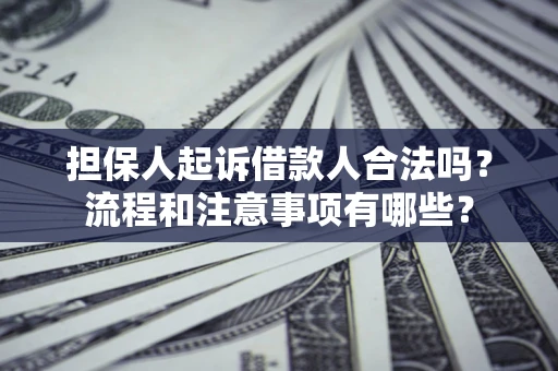 武汉担保人起诉借款人合法吗？流程和注意事项有哪些？