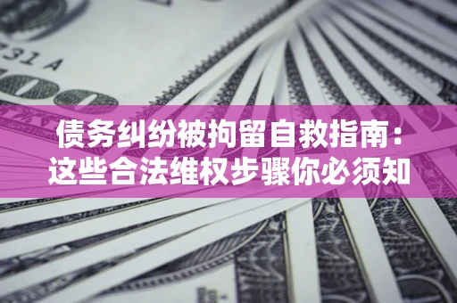 武汉债务纠纷被拘留自救指南：这些合法维权步骤你必须知道！