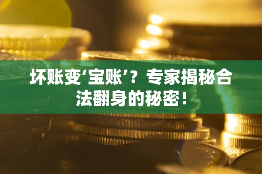 武汉坏账变‘宝账’？专家揭秘合法翻身的秘密！