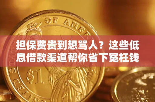 武汉担保费贵到想骂人？这些低息借款渠道帮你省下冤枉钱