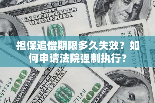 武汉担保追偿期限多久失效？如何申请法院强制执行？