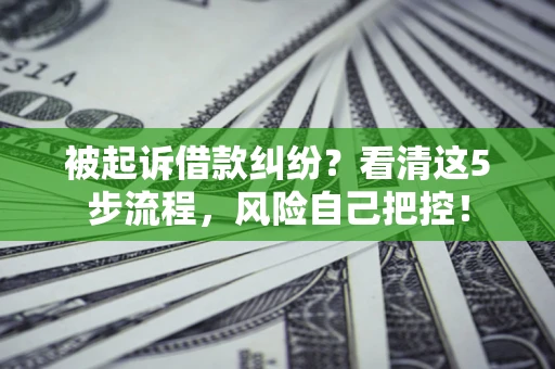 武汉被起诉借款纠纷？看清这5步流程，风险自己把控！