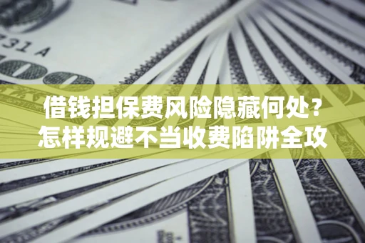 武汉借钱担保费风险隐藏何处？怎样规避不当收费陷阱全攻略！