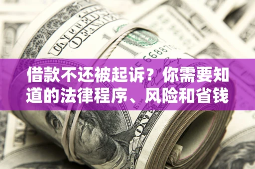 武汉借款不还被起诉？你需要知道的法律程序、风险和省钱技巧